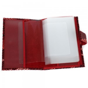 YG-077 Обложка на автодокументы с паспортом Nina Farmina 9230-187