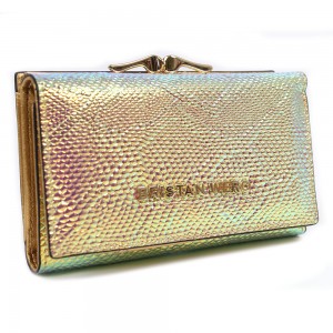 YS Женский кошелек Bristan Wero BW420