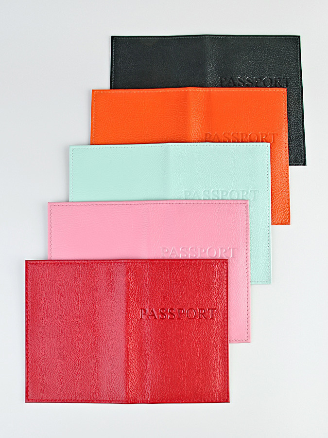 YG Обложка на паспорт "Лама-119"