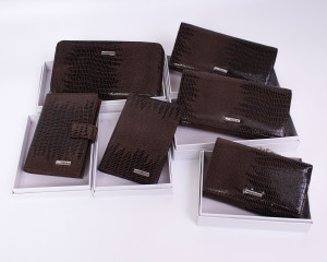 YG-085 Обложка на паспортом Nina Farmina 9286-315