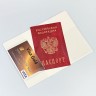 YW-31 Обложка на паспорт 