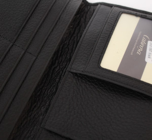 YL Мужской клатч Catiroya L472-1657 