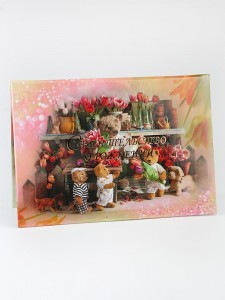 D-036 Папка для свидетельство о рождении