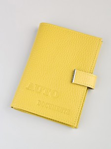 YW-47 Обложка на автодокументы с паспортом на кнопке