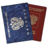  YW-01  Обложка на паспорт 